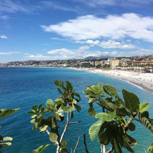 Studio 21m² Rue de France