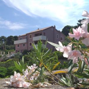 Amaryllis family residence