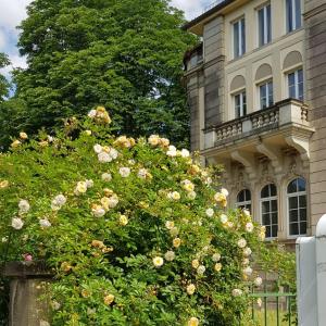 Hotel Villa Lalee