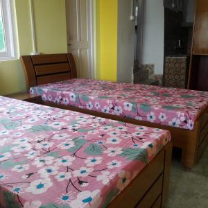 D'souza Homestay