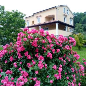 Guesthouse Villa AnnaDora