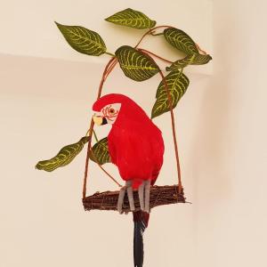 Parrot’s House