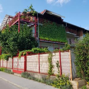 Ljubljana's terrace