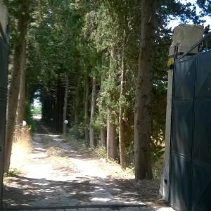 villetta tranquilla