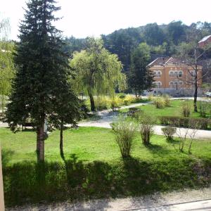 Apartments Bokan