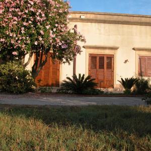 Casa Ale