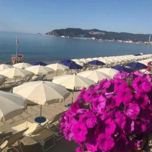 Violamare