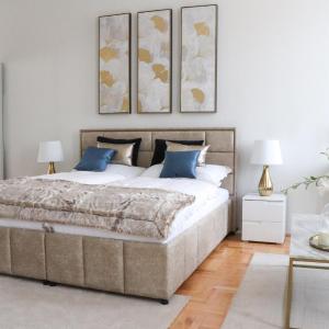 Deluxe apt with 2 bedrooms and AC