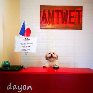 Antwet Backpacker's Inn & Rooftop Bar