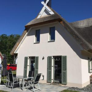 Reethaus Seeadler mit Sauna, Terrasse, Garten