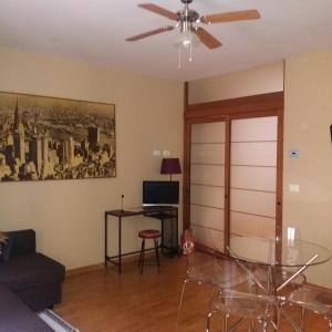 Sweet Saragozza apartment