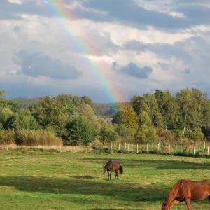 Agroturystyka Mętno 18