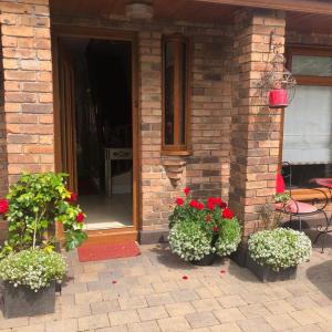 Beechtree House