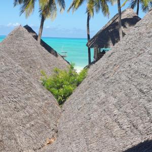 Organic Roots Villa
