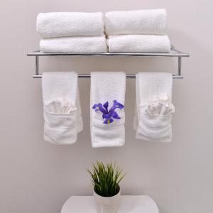 Holiday Inn Express & Suites San Diego - Mission Valley by IHG