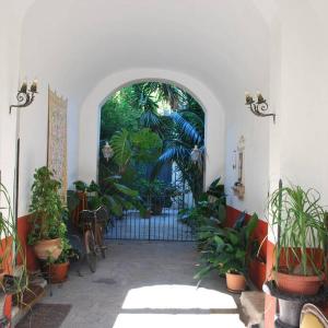 casa immersa nel verde al centro di Palermo