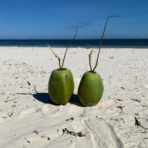 Mombasa Bamburi Beach Studio B11 - Pool & Beach - Sleeps 3