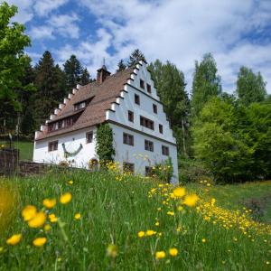 Herrenhaus Bärenschlössle 2 mit 6 Schlafzimmer