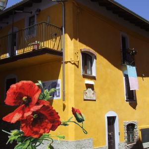 B&B Il Campo dei Papaveri