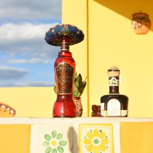 Cancun Guest House 5