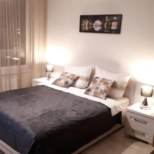 Vena apartment