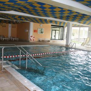 Rosenalm Scheidegg Apartment 256