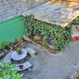 Mangifera Hostel