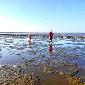 Deichoase Strandhaus