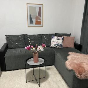Apartman Aleksic
