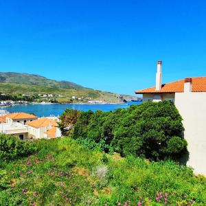 Andros Apartment - Lasia
