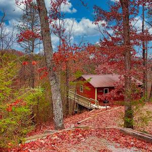 Mountain Memories