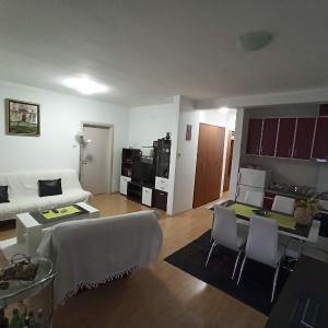 Apartman Savić