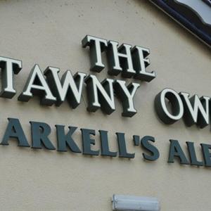 The Tawny Owl