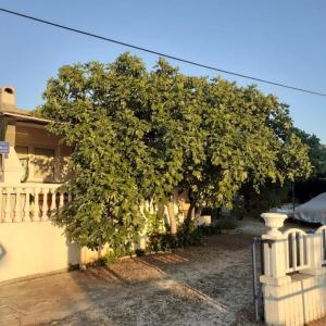 Srećko Apartman