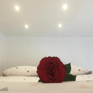 Lovely Studio