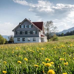 Alpenloge Design Hotel