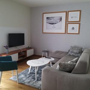 Apartman 307 u Vili Borova