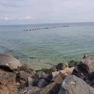 Vip Apartment in the very center of Odessa with sea view