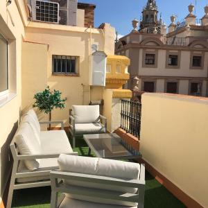 Constitución Terraza Olehousing