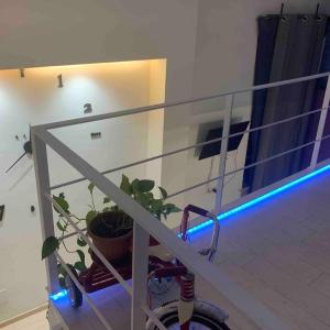Small mezzanine apartment Colosseo