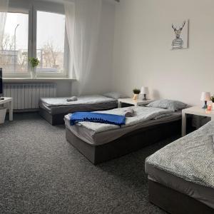 Hostel Czecha