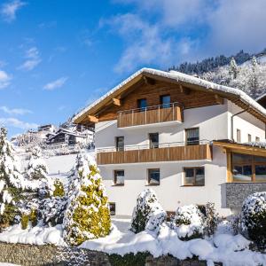 Appartement Pitztal-Hochzeiger inclusive Pitztal-Sommer Card