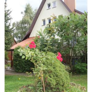 Apartament Leśny