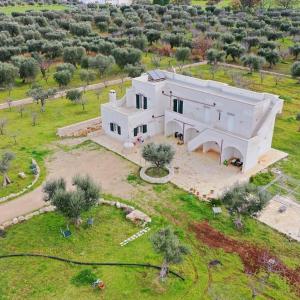 B&B Quattrolinari