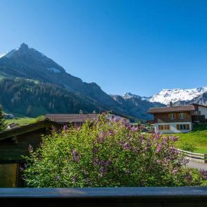 Chalet Apollo