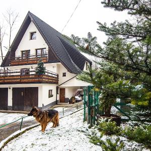 Apartamenty w Centrum - Zakopane