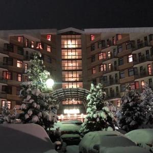 Flora Apartment 612A