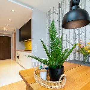 Triventi Mountain Residence Karpacz Sunrise