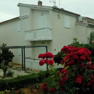 Apartment in Kukljica - Insel Ugljan 38785