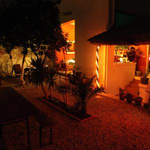 Trip'n'Hostel